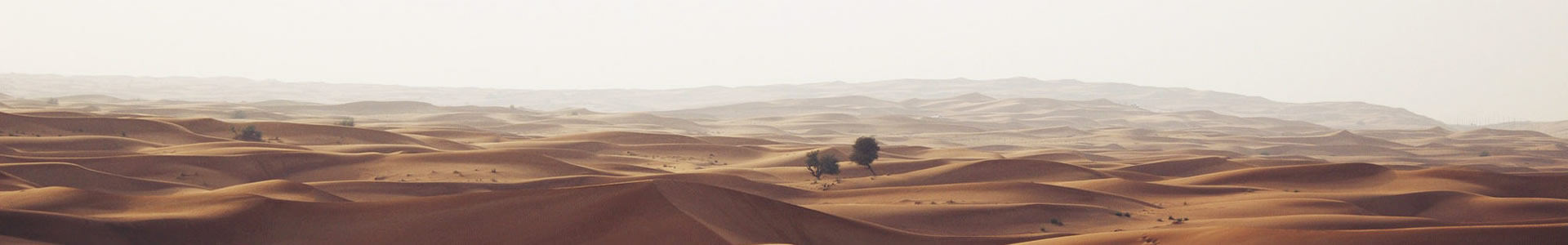 ݳ޹˾